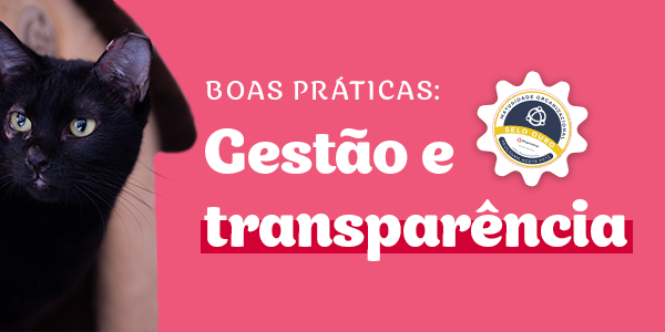 banner-transparencia-mobile