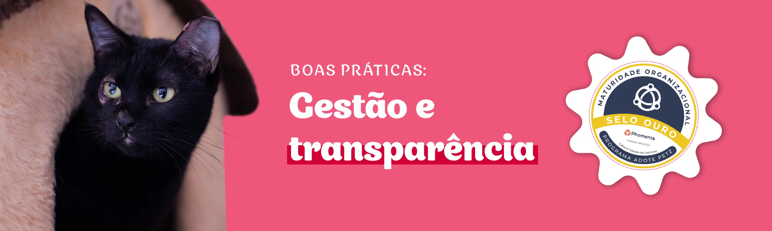 banner-transparencia
