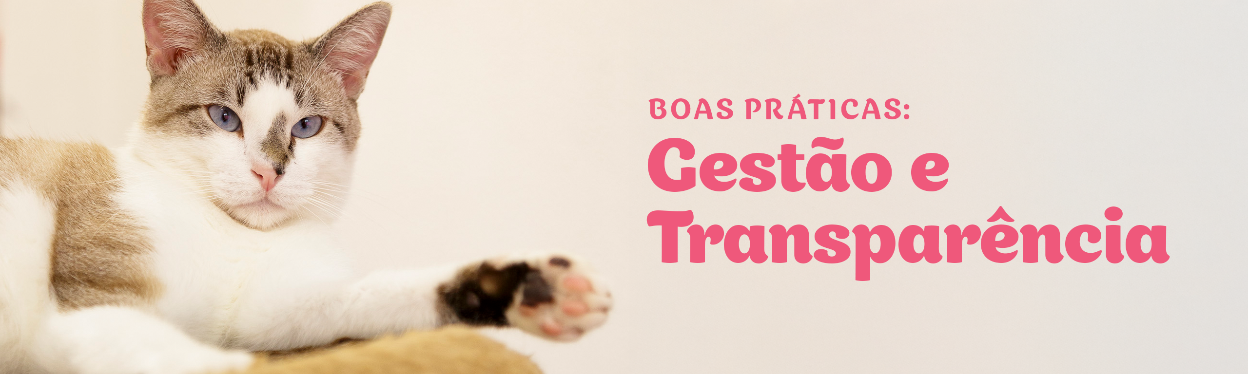 Sem Título-1