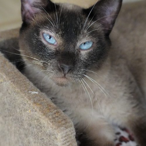 Agathe03-LarissaFarabello-20251011