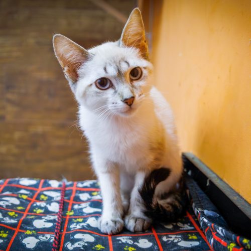 Bechamel-BrunaDamasceno-20251221