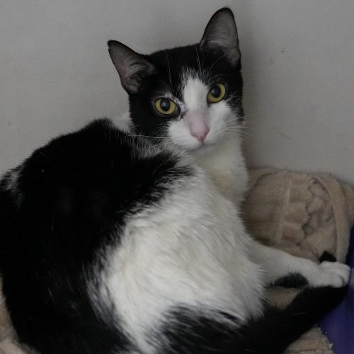 Berta02-LarissaFarabello-20251208