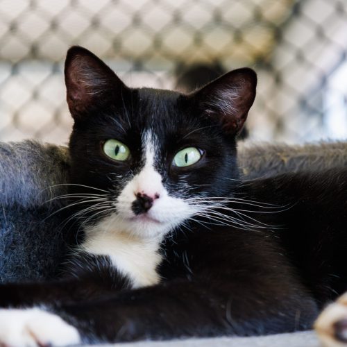 Beryl01-BrunaDamasceno-20251206