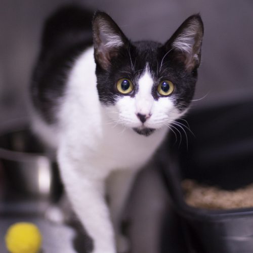 Cataratas-CarolPrado-20250822-8162