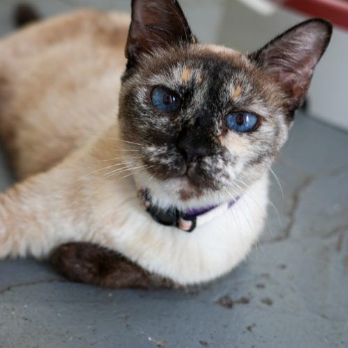 Deleite02-LarissaFarabello-20251230