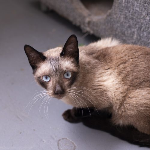 Fabian-CarolPrado-20250923-8363