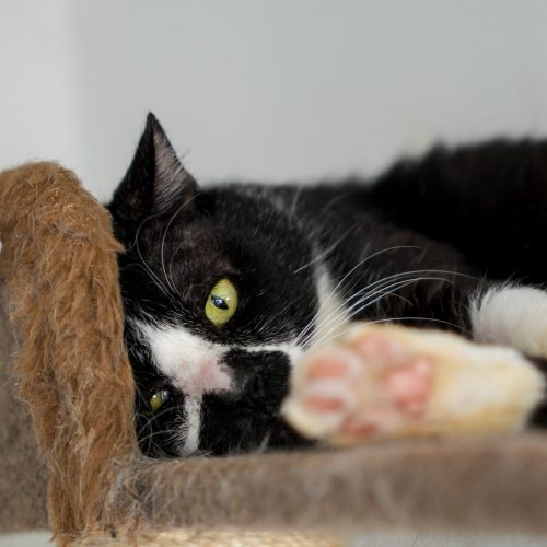 Parati-LarissaFarabello-20251122