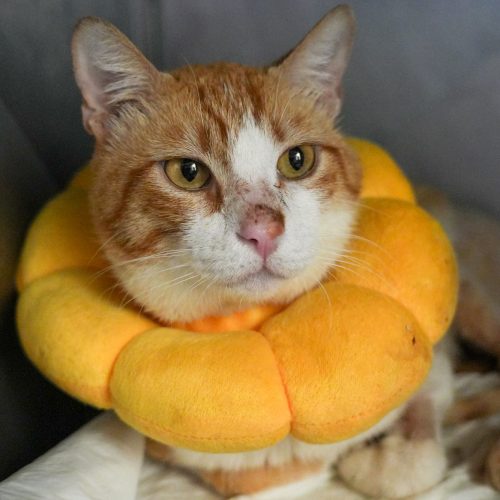 Portella01-LarissaFarabello-20251230