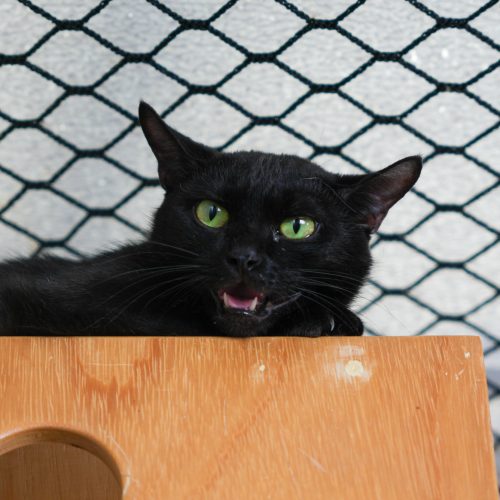 Reem01-LarissaFarabello-20260314