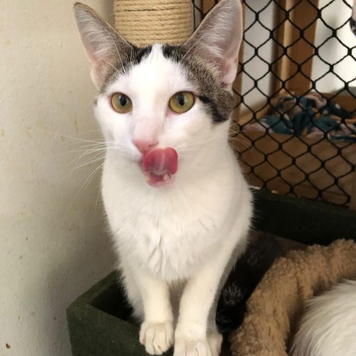 Timothy  (1) Timothy  (1)