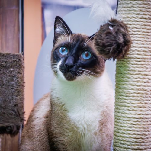 Xiquexique05-BrunaDamasceno-20251221